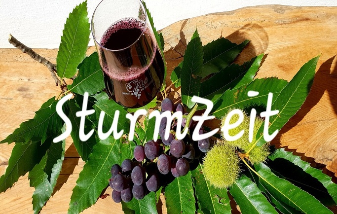 SturmZeit 2022 SturmZeit 2022