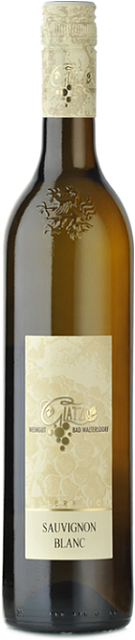 SAUVIgnon Blanc 2019 SAUVIgnon Blanc 2019