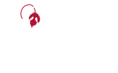 WEINGUT GLATZ - Bad Waltersdorf Südoststeiermark